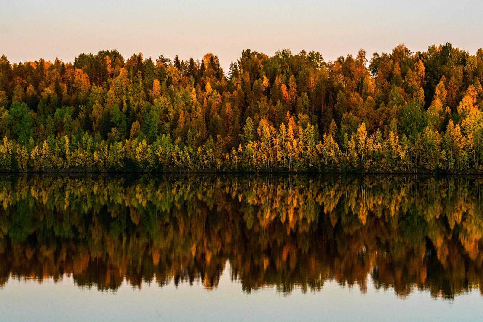 Autumn Colors Lapland
