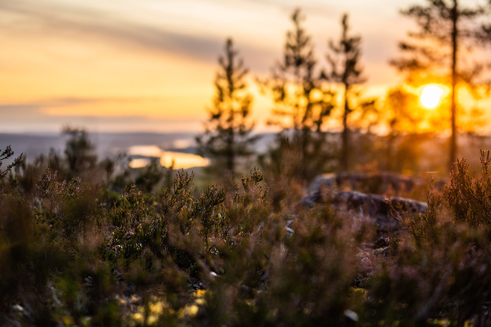 Midnight Sun in Lapland 3