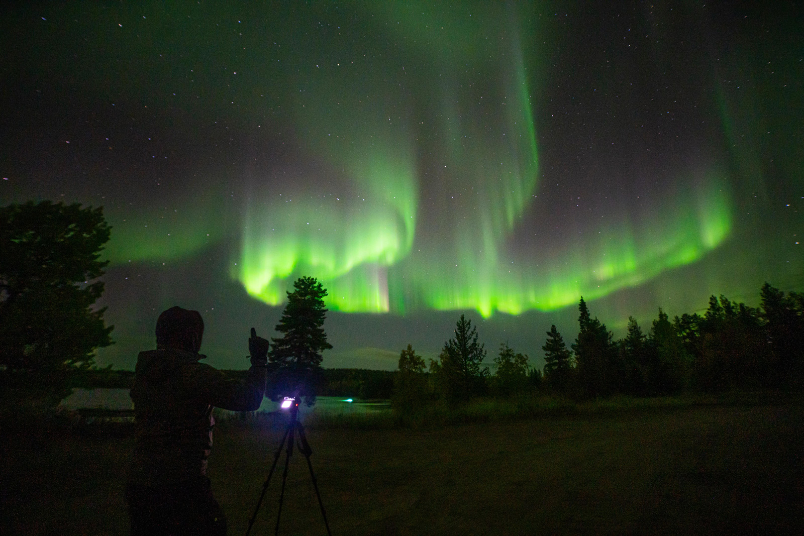Northern Lights Rovaniemi 1