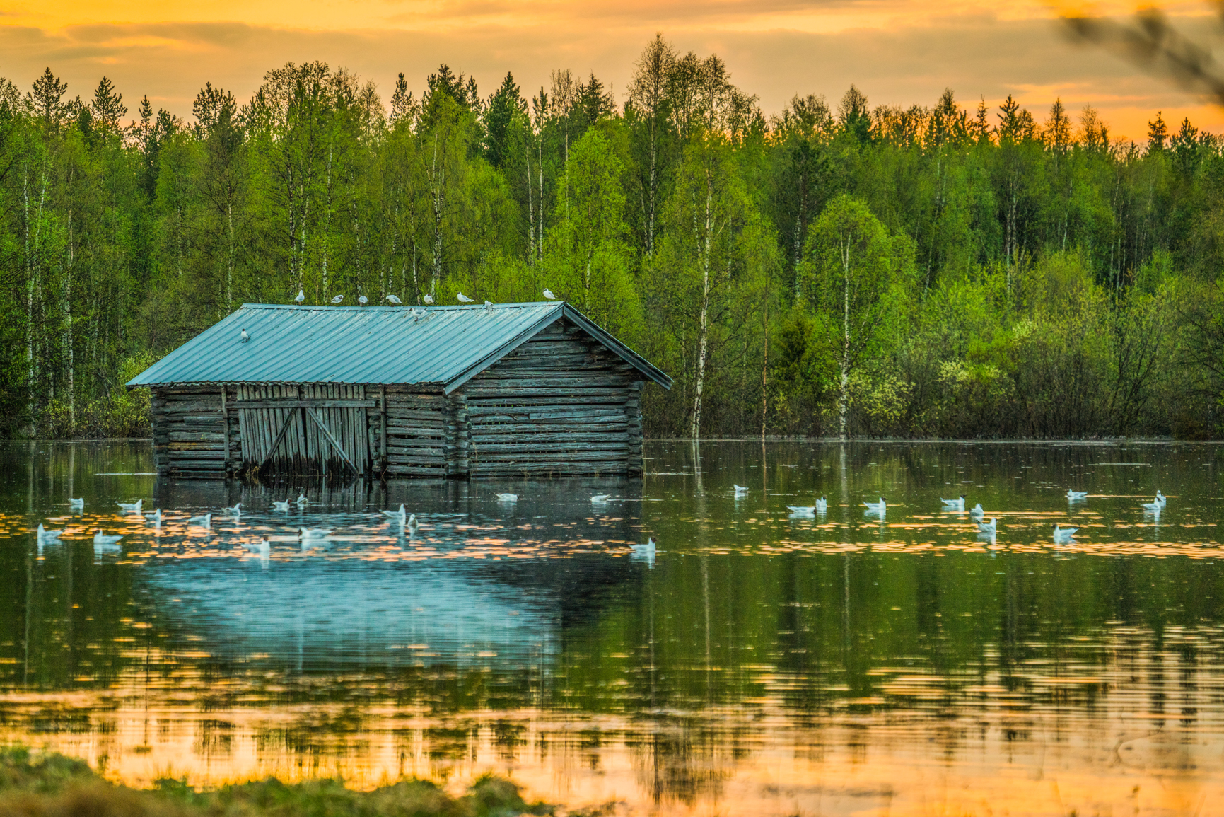 Photography Arctic Circle Rovaniemi Lapland