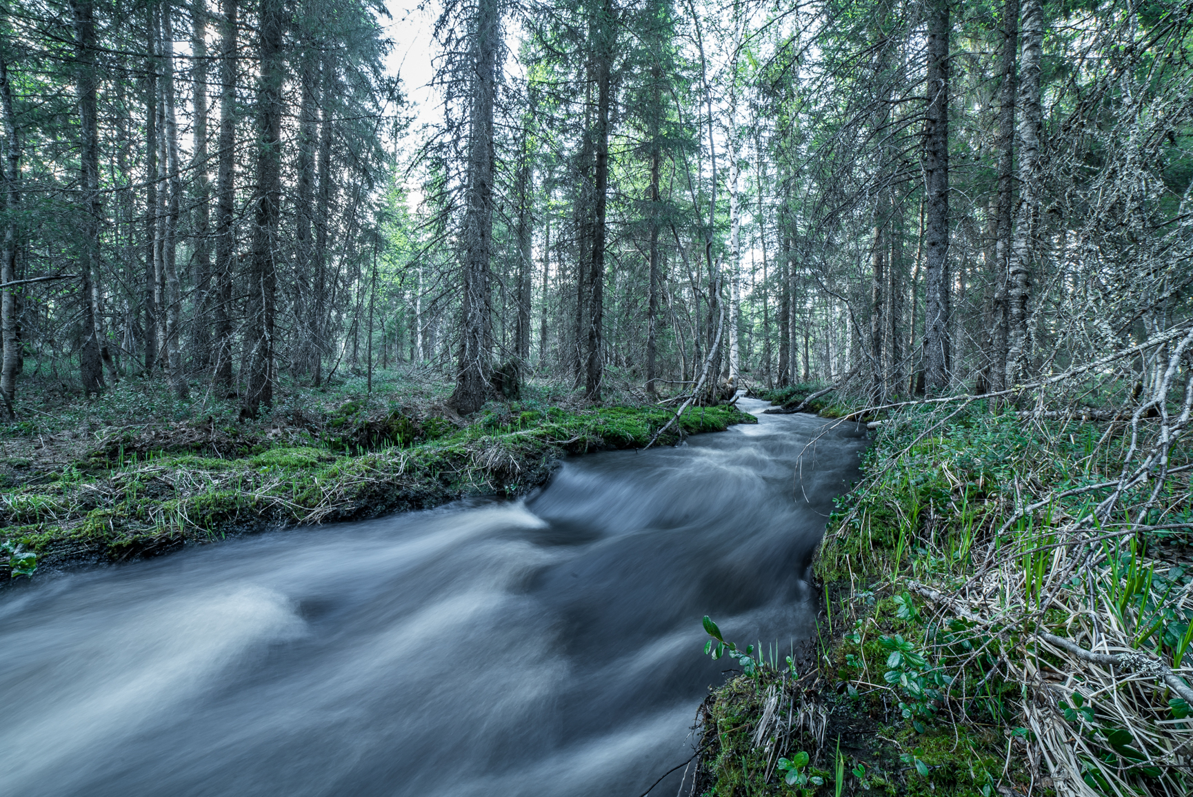 Photography Tours Lapland Arctic Circle
