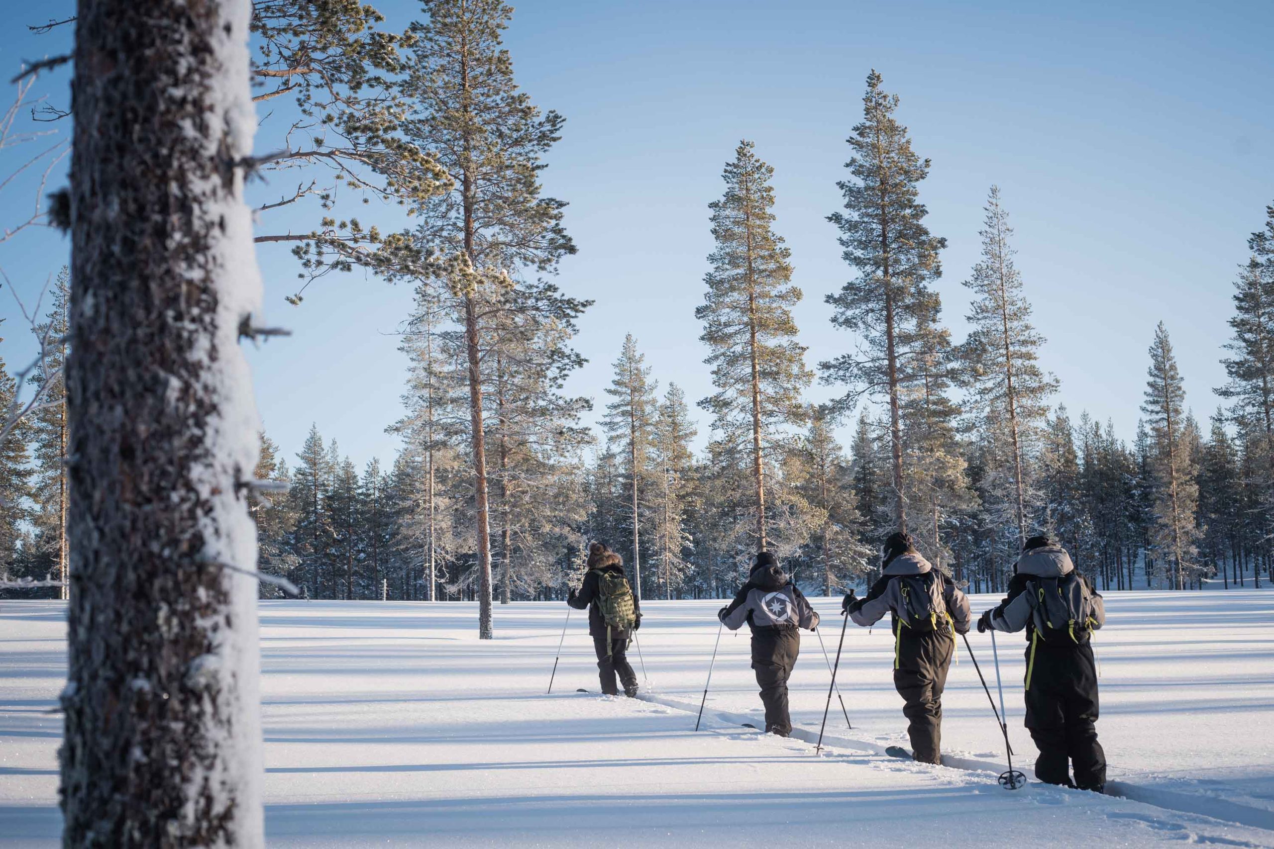 Skiing Tour Group Rovaniemi Lapland