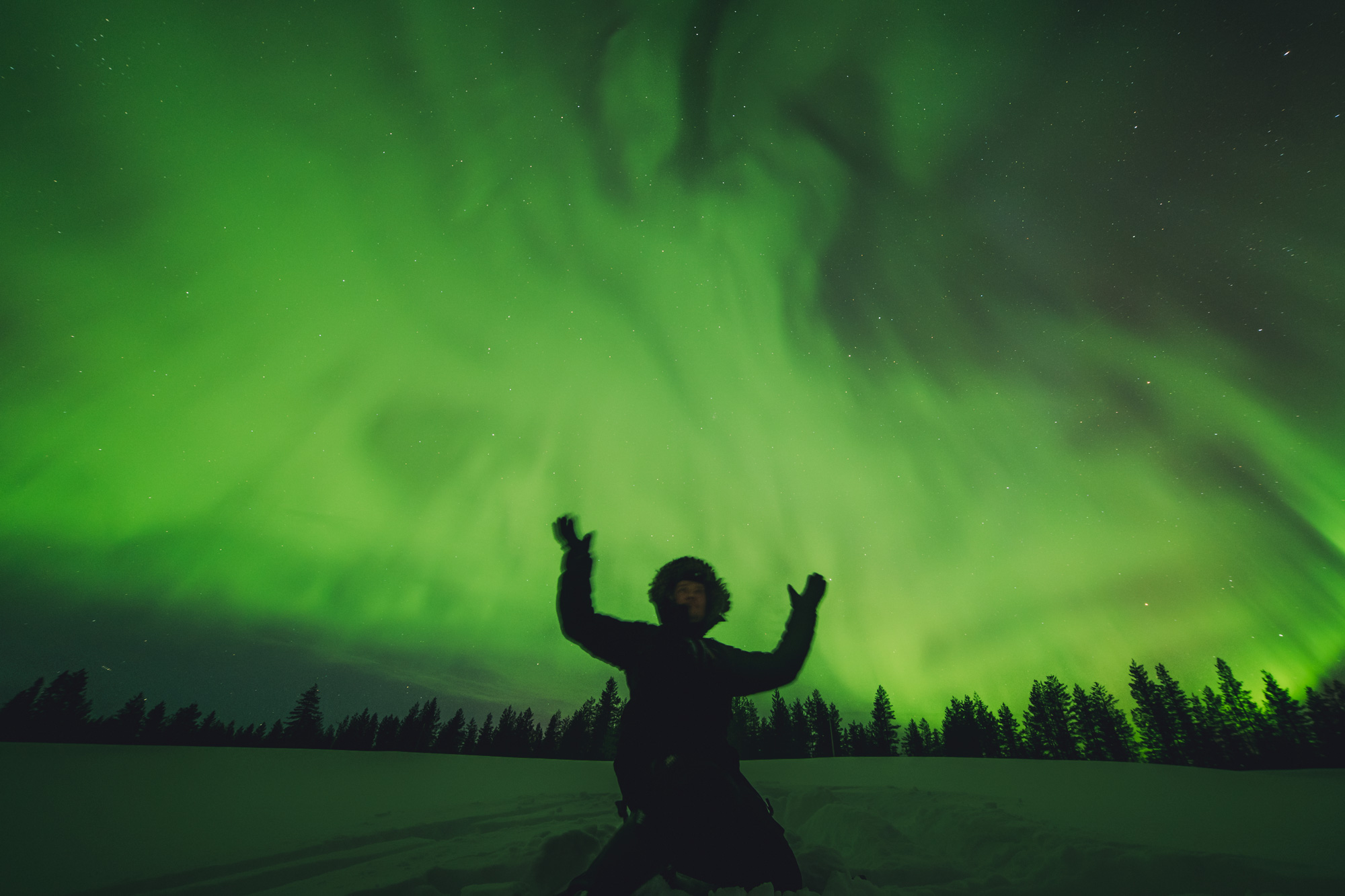 Auroras Dancing in February Rovaniemi Lapland Finland
