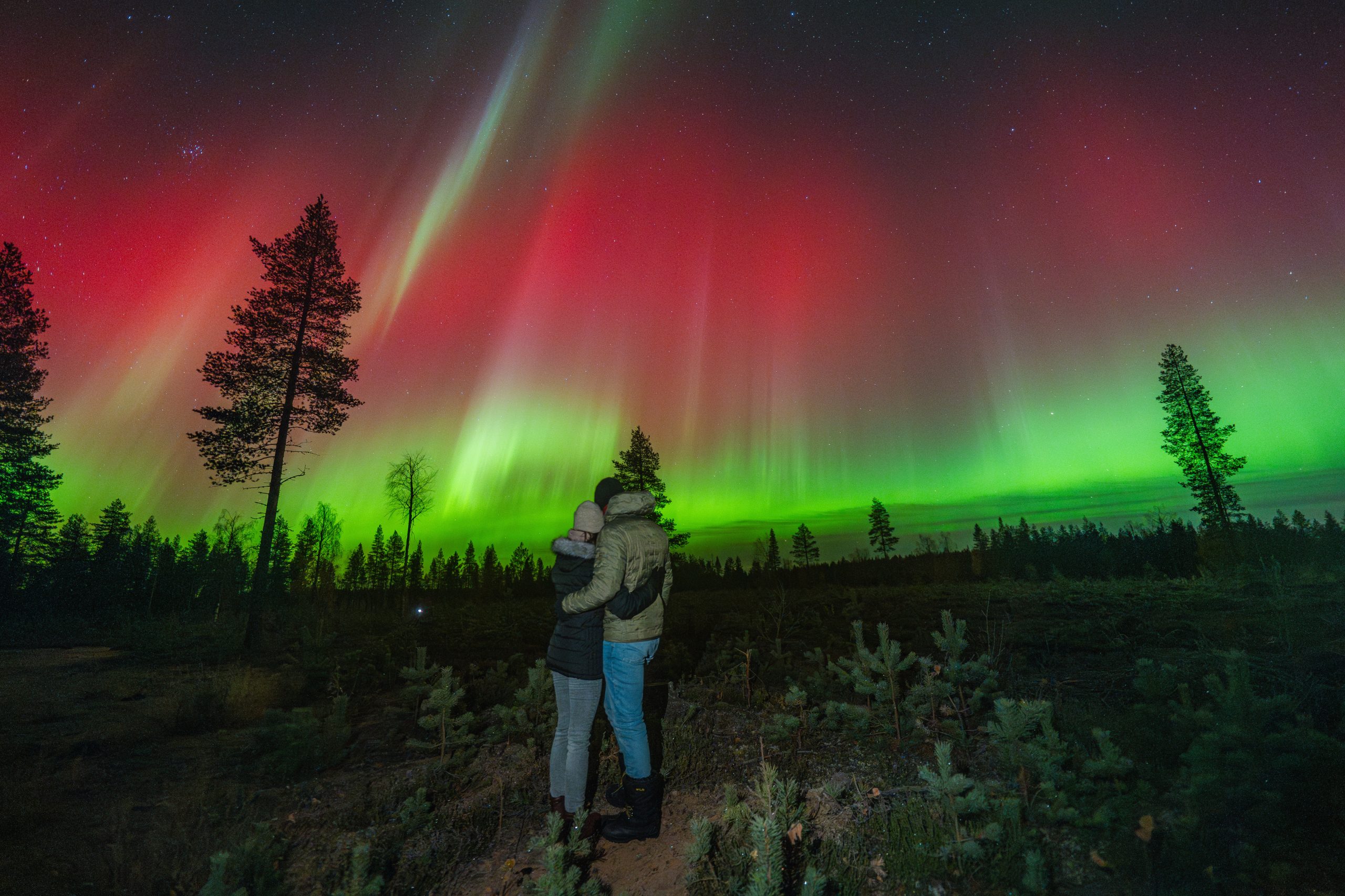 Northern Lights Autumn Forest Rovaniemi Lapland