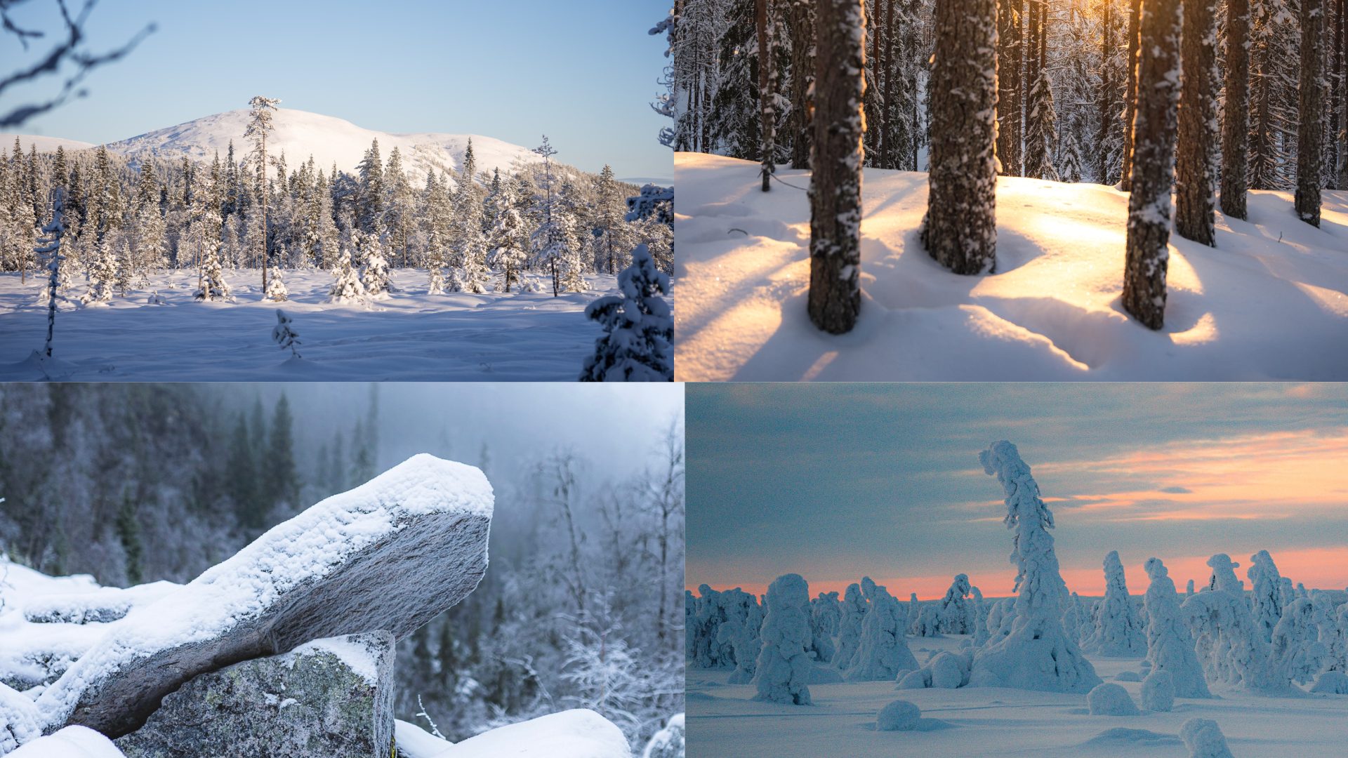 Winter Snow Stages Landscapes Rovaniemi Lapland