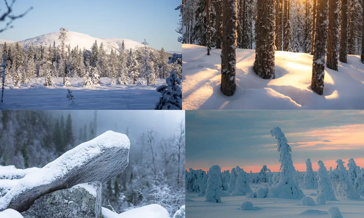 Winter Snow Stages Landscapes Rovaniemi Lapland Large