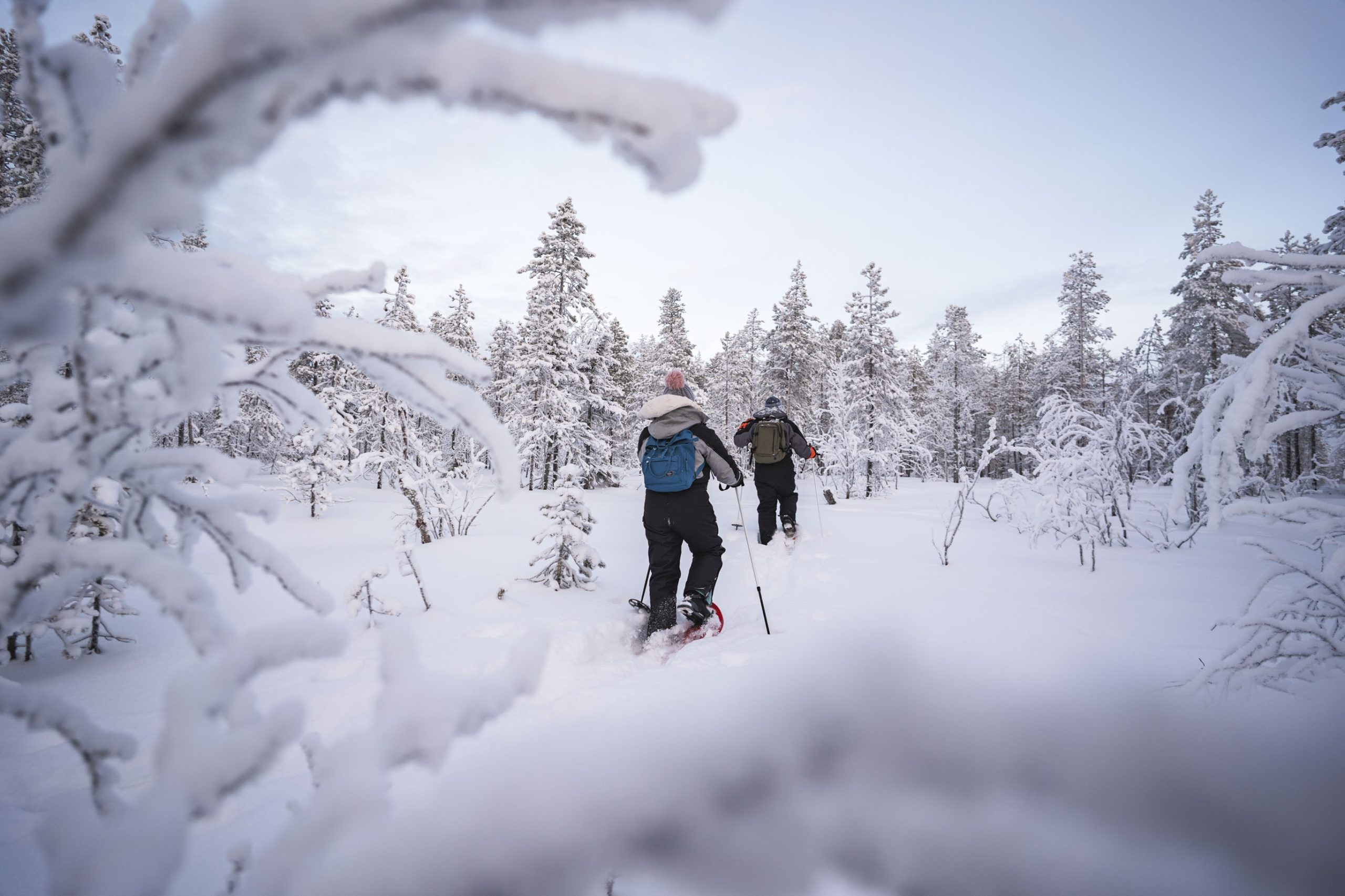 Backcountry Skiing Winter Rovaniemi Lapland
