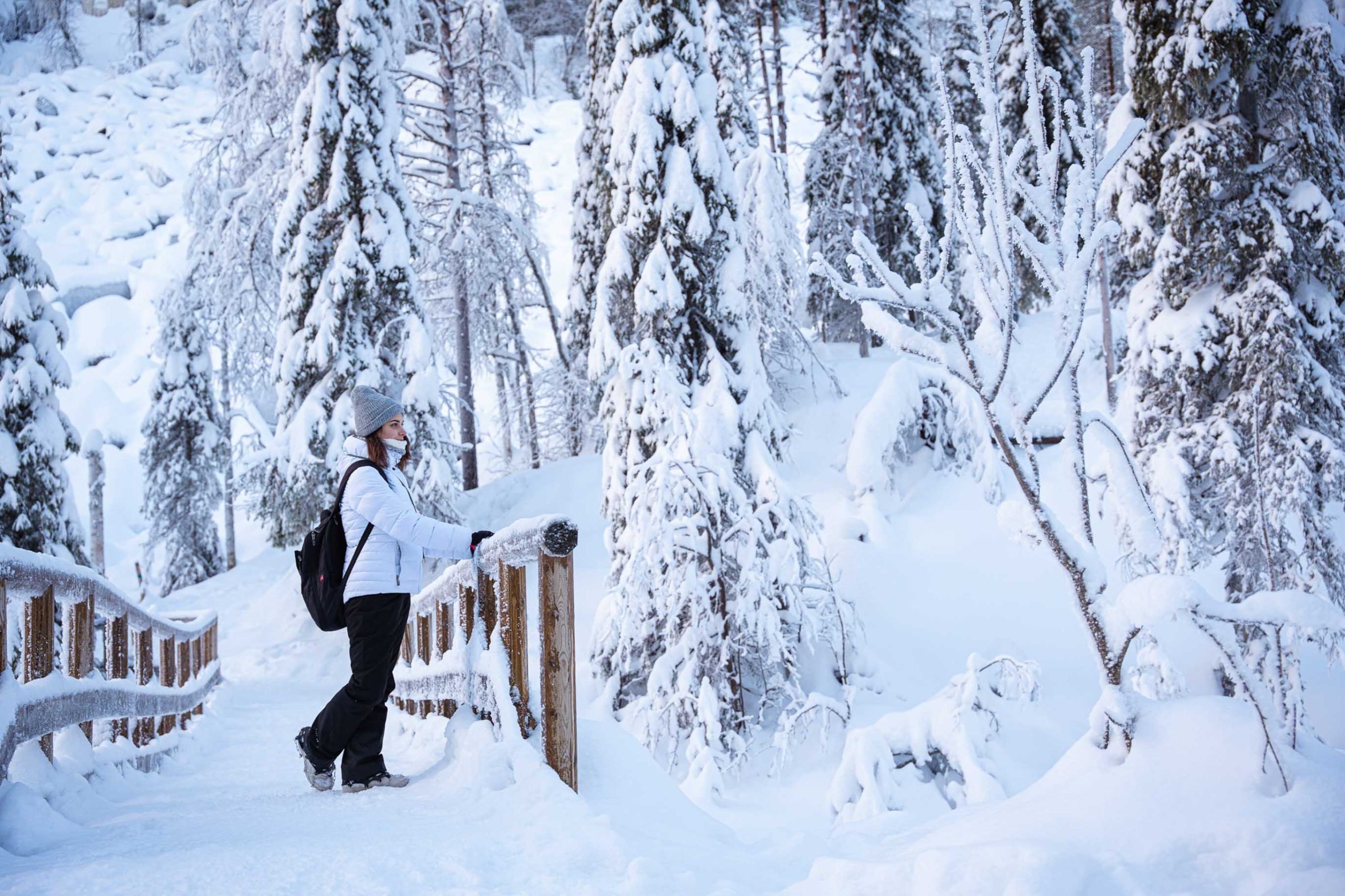 Winter Bridge Korouoma Rovaniemi Lapland
