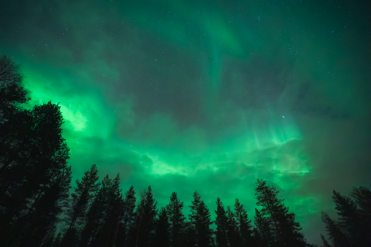 Clouds Trees Auroras Lapland Finland