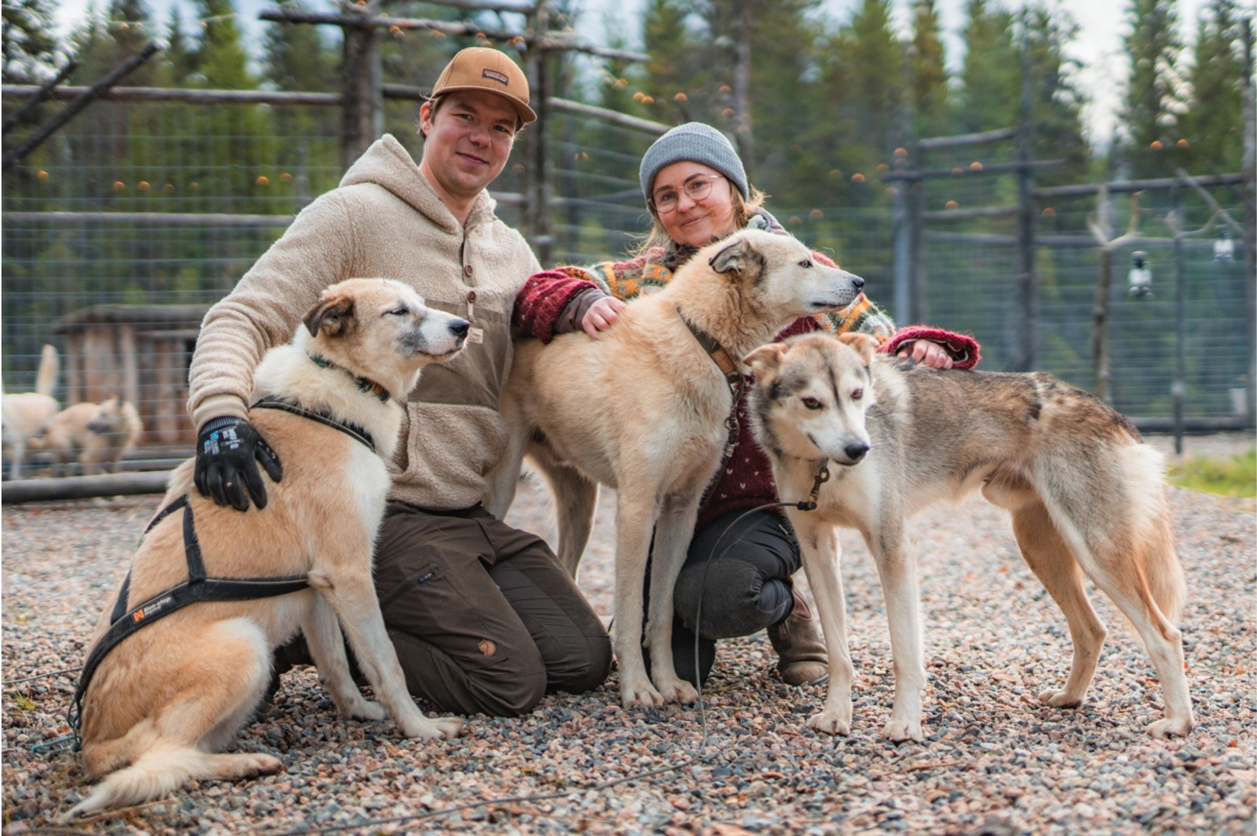 Husky Mushers Rovaniemi Lapland