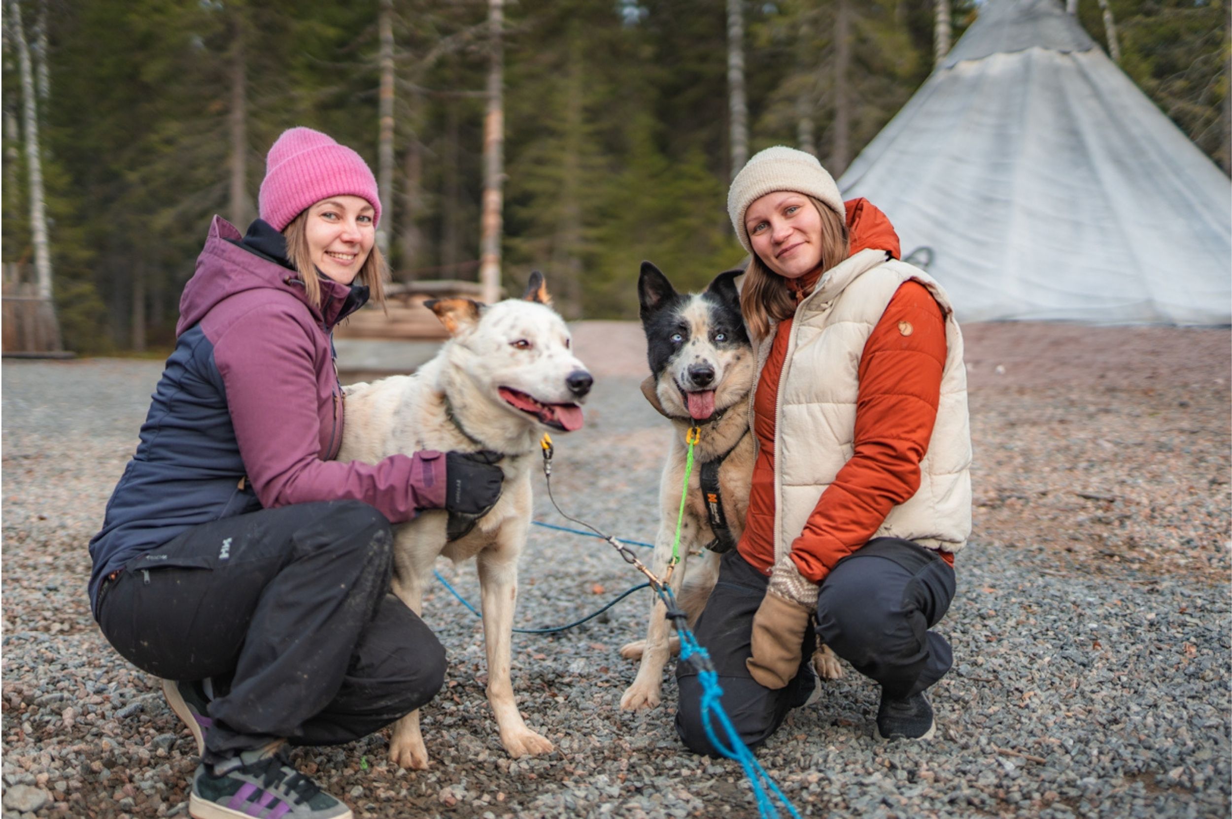 Husky Rovaniemi Lapland