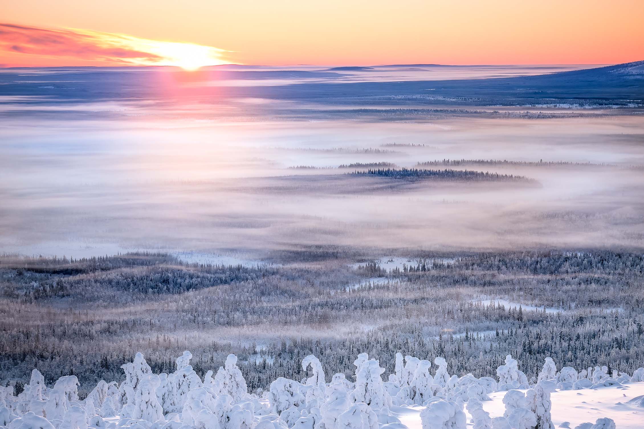 Winter Sunset Forest Mountain Forest Levi Lapland Finland