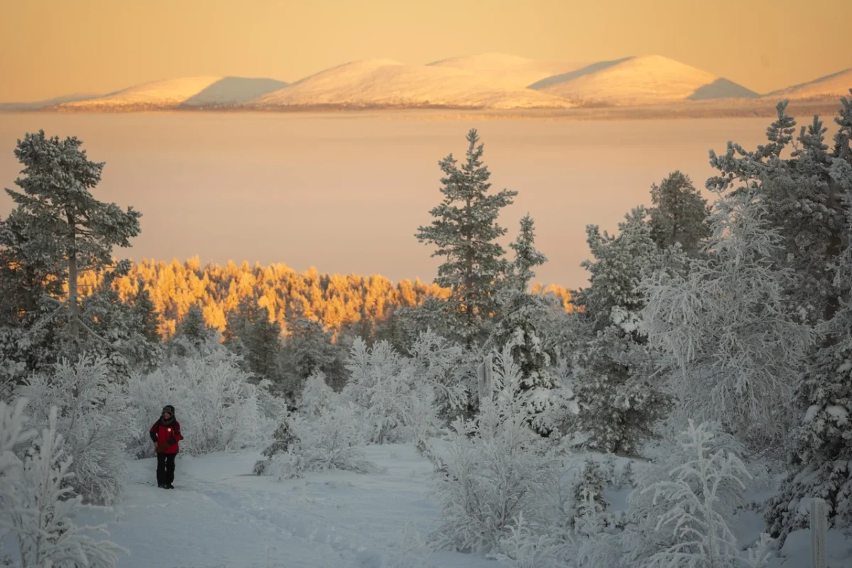 Lapland Levi Pallas Fell Mountain Finland Large