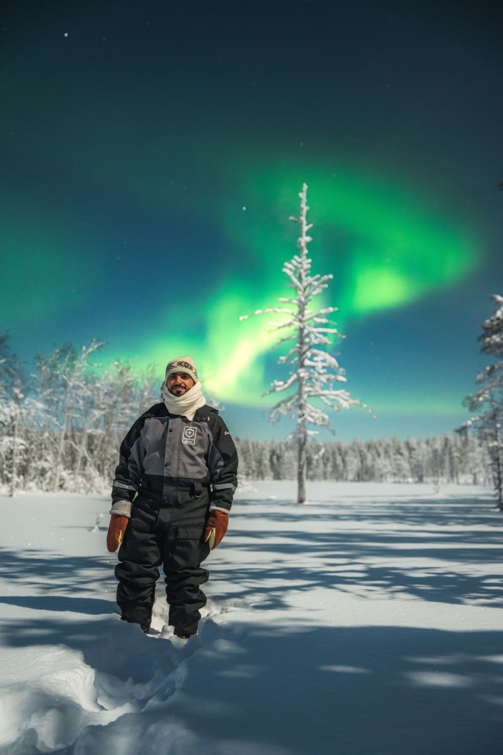 Auroras Winter Forest Rovaniemi Lapland