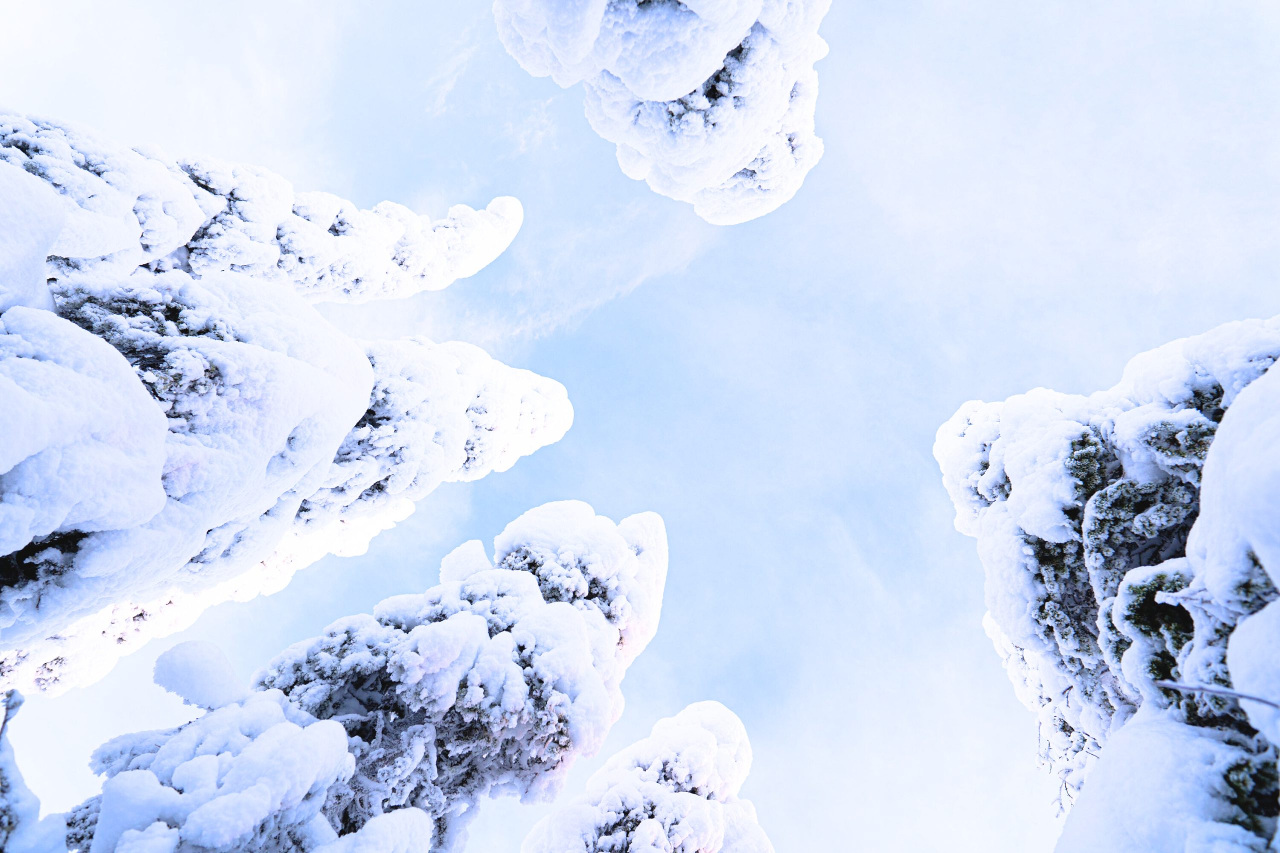 Riisitunturi Latvat Lapland Finland Highkey