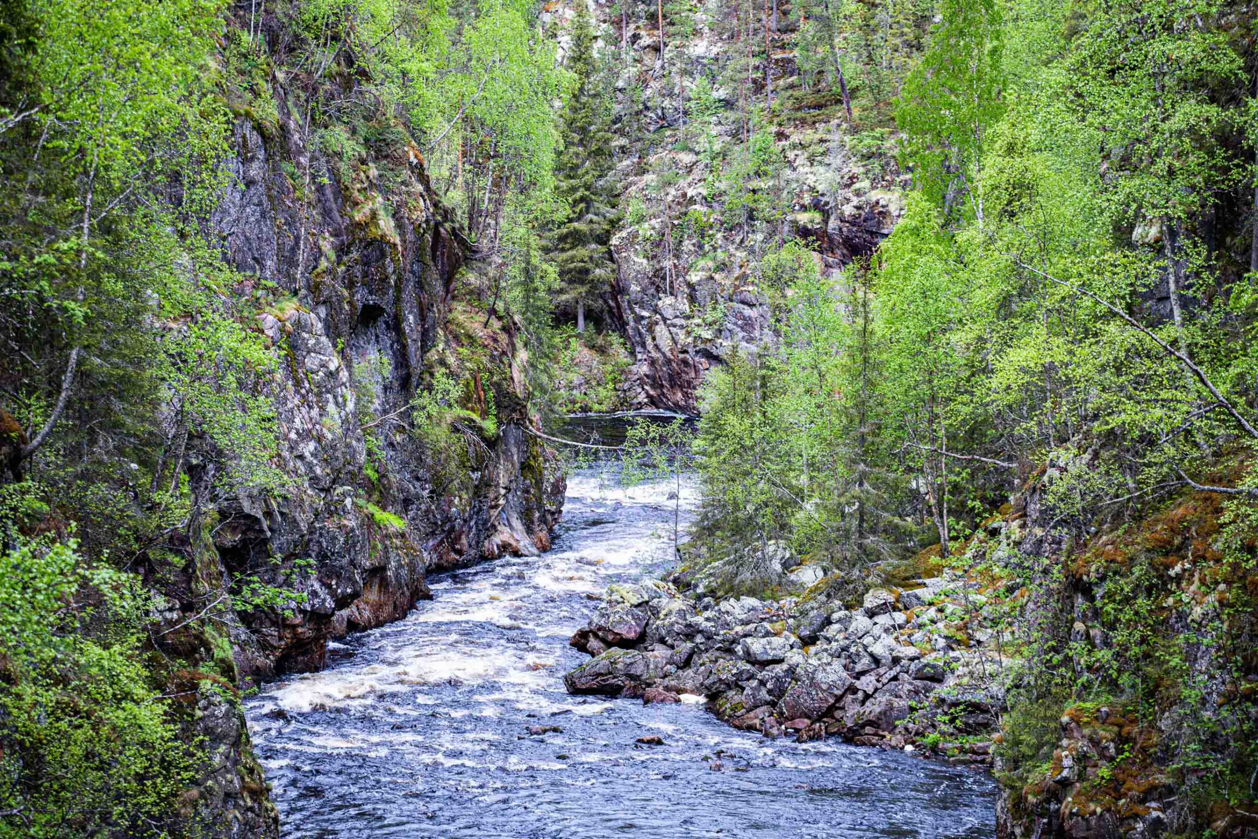 Auttikongas River Rovaniemi Lapland 1