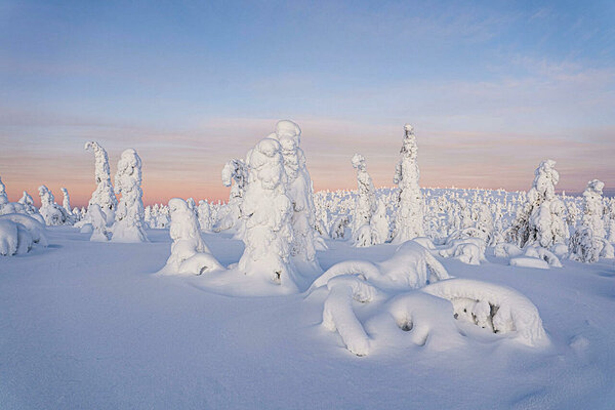 Rovaniemi Lapland Riisitunturi National Park Winter Cold