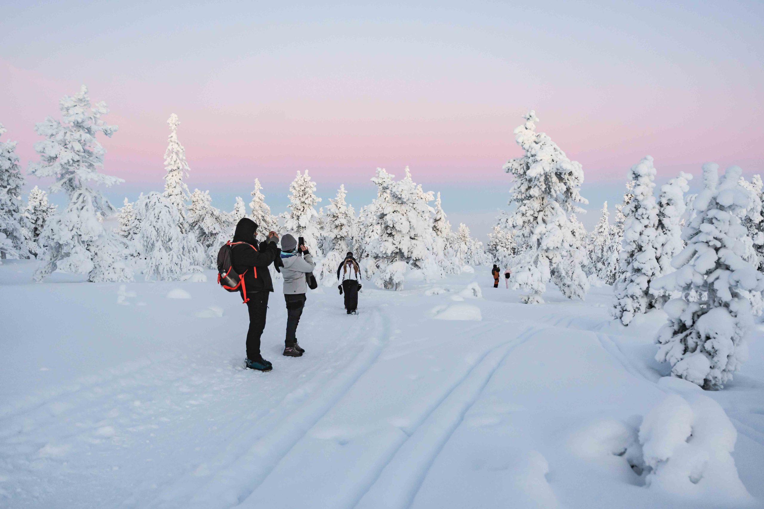 Rovaniemi Lapland Winter Hike Cotton Candy Sky