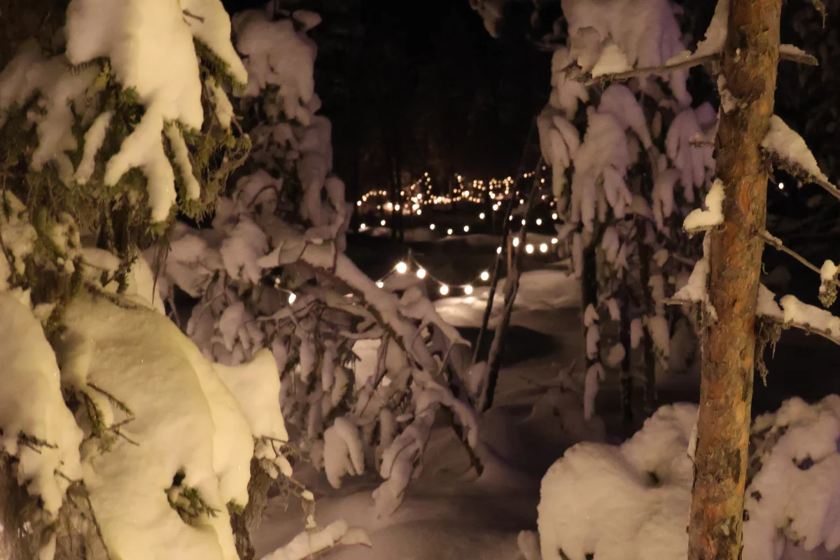 Illuminated forest ice trail in Levi