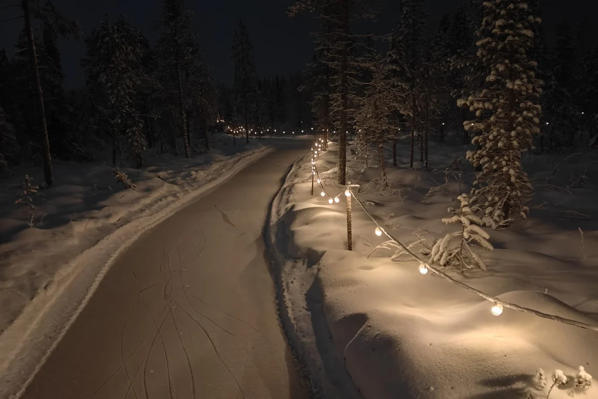 Natural ice trail winding through the illuminated forest