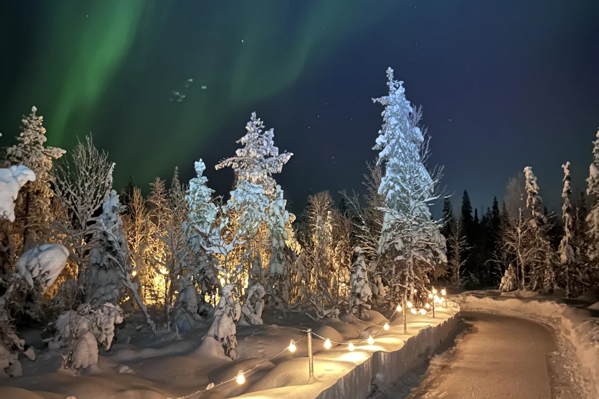 Northern Lights above the illuminated forest ice trail in Levi