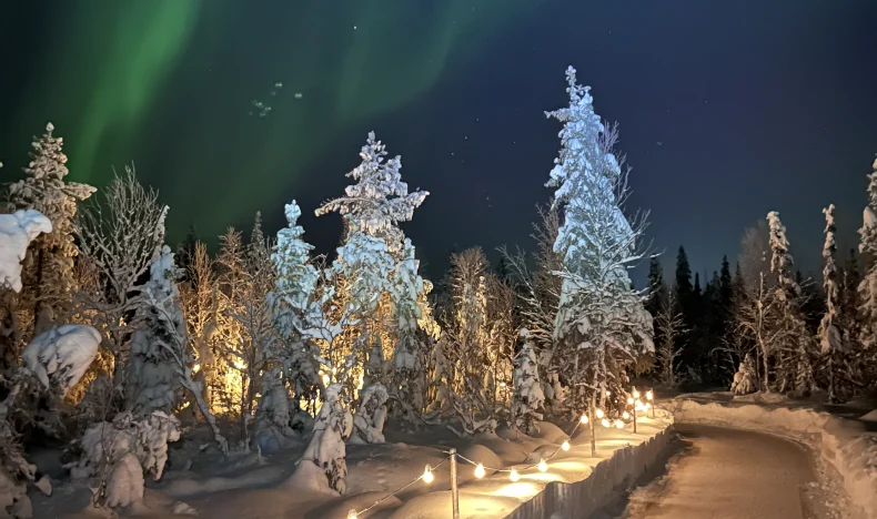 Winter Forest Ice Skating Experience