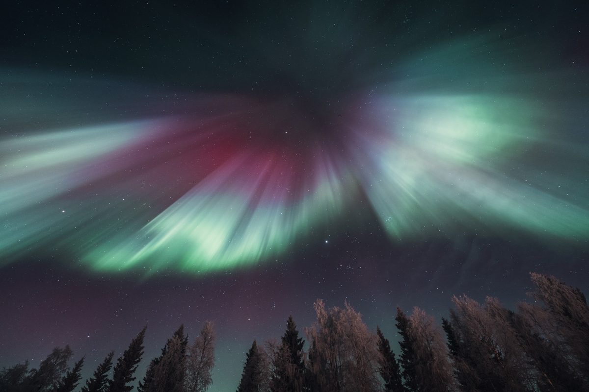 Aurora Borealis during a Rovaniemi tour