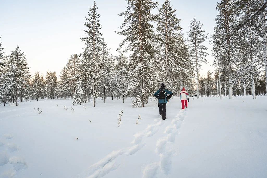 Snowshoers on a quiet forest trail near Rovaniemi in low winter light