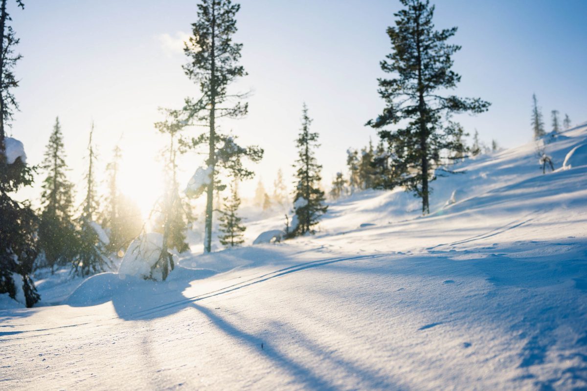 Winter snowshoe adventure in Arctic nature