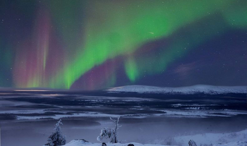 Northern Lights Photography Tour in Levi