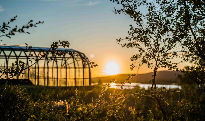 Rovaniemi Summer Photography Tour