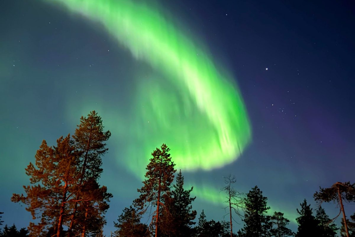Northern Lights above a Rovaniemi forest