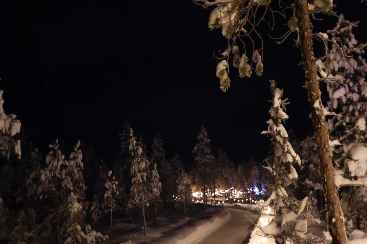 Snowy forest and lights beside the skating trail