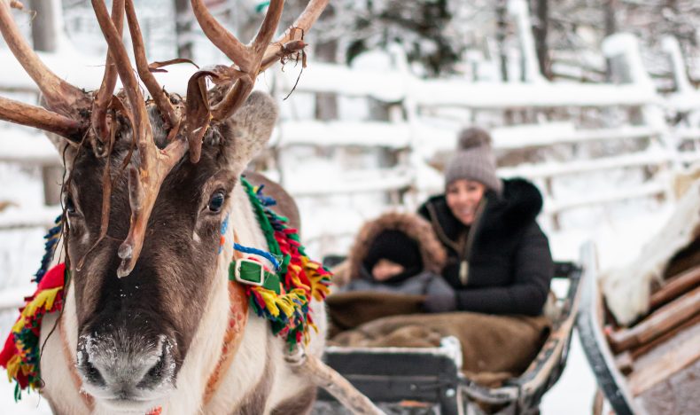 Private Reindeer Farm Visit and Sleigh Ride with Photographer