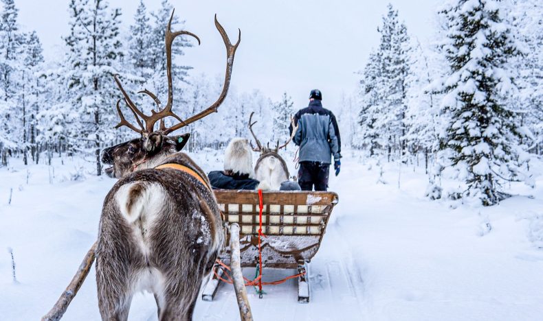 3-in-1 Combo Adventure: Huskies, Reindeer & Snowmobile Sleigh Ride in Levi