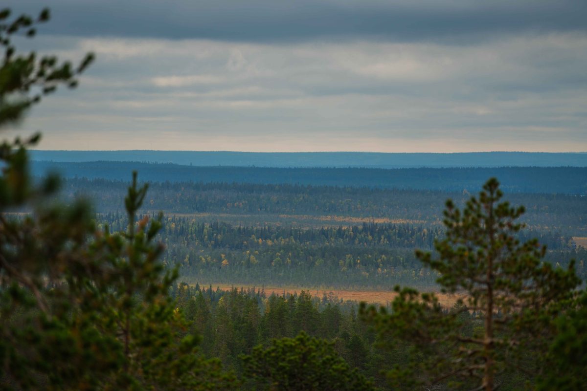 Lapland wilderness landscape near Rovaniemi