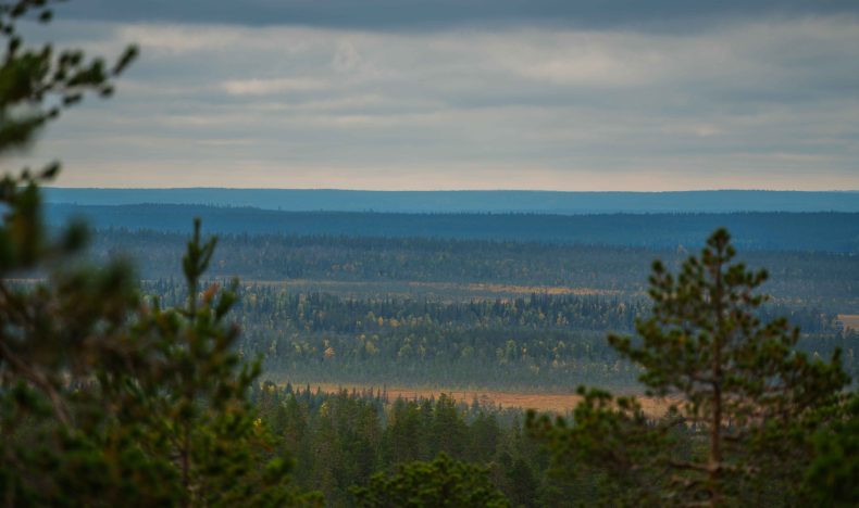 Arctic Family Nature Hike with Picnic – Summer and Autumn
