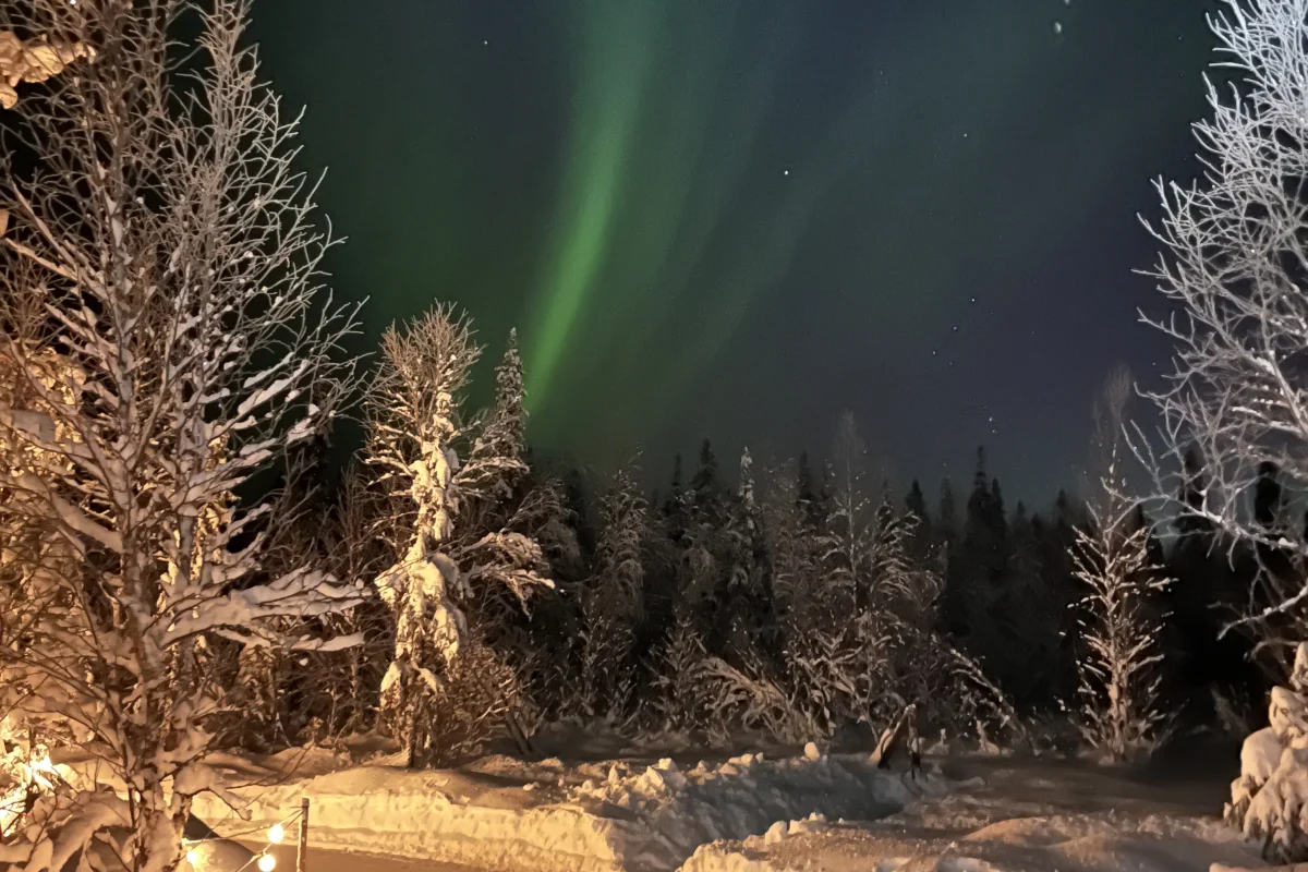 Northern Lights over the snowy skating forest