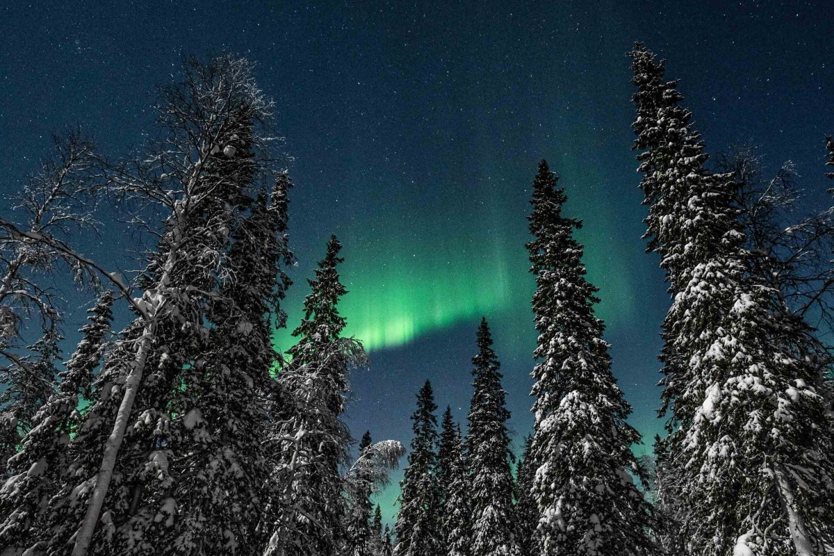 Northern Lights above the forest during an electric snowmobile tour