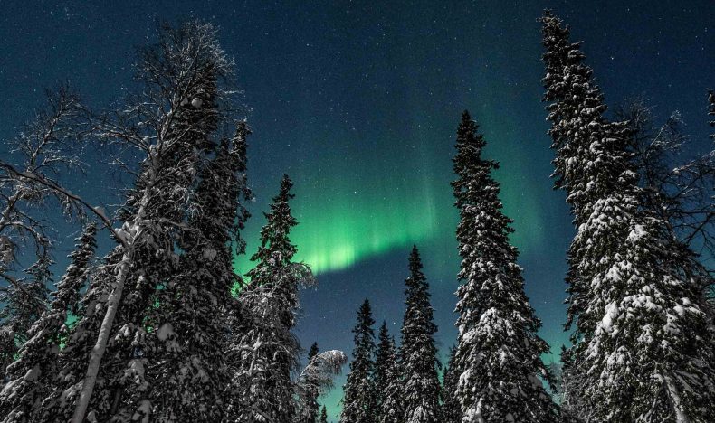 Electric Snowmobile Northern Lights Tour and Meet the Reindeer