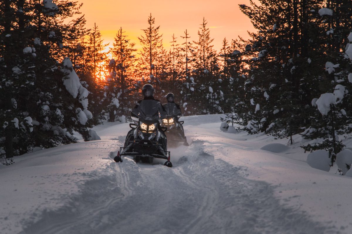 Snowmobiles travelling through a forest in Lapland