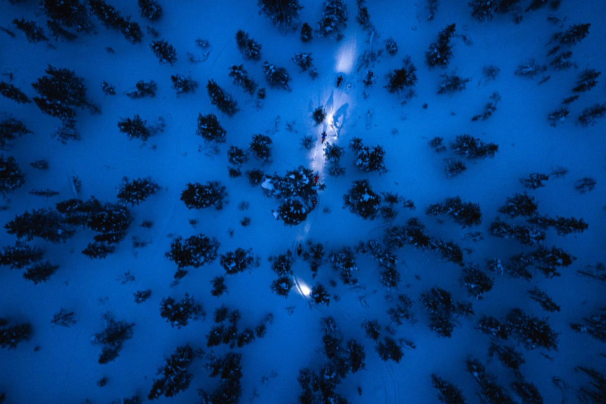 Headlight-lit electric fatbike route through a dark forest