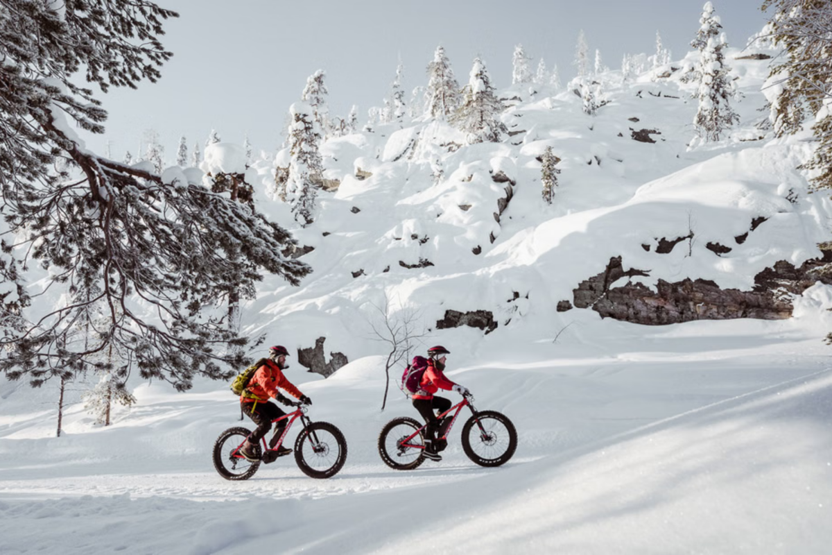 Friends riding electric fatbikes near Pyhä fell