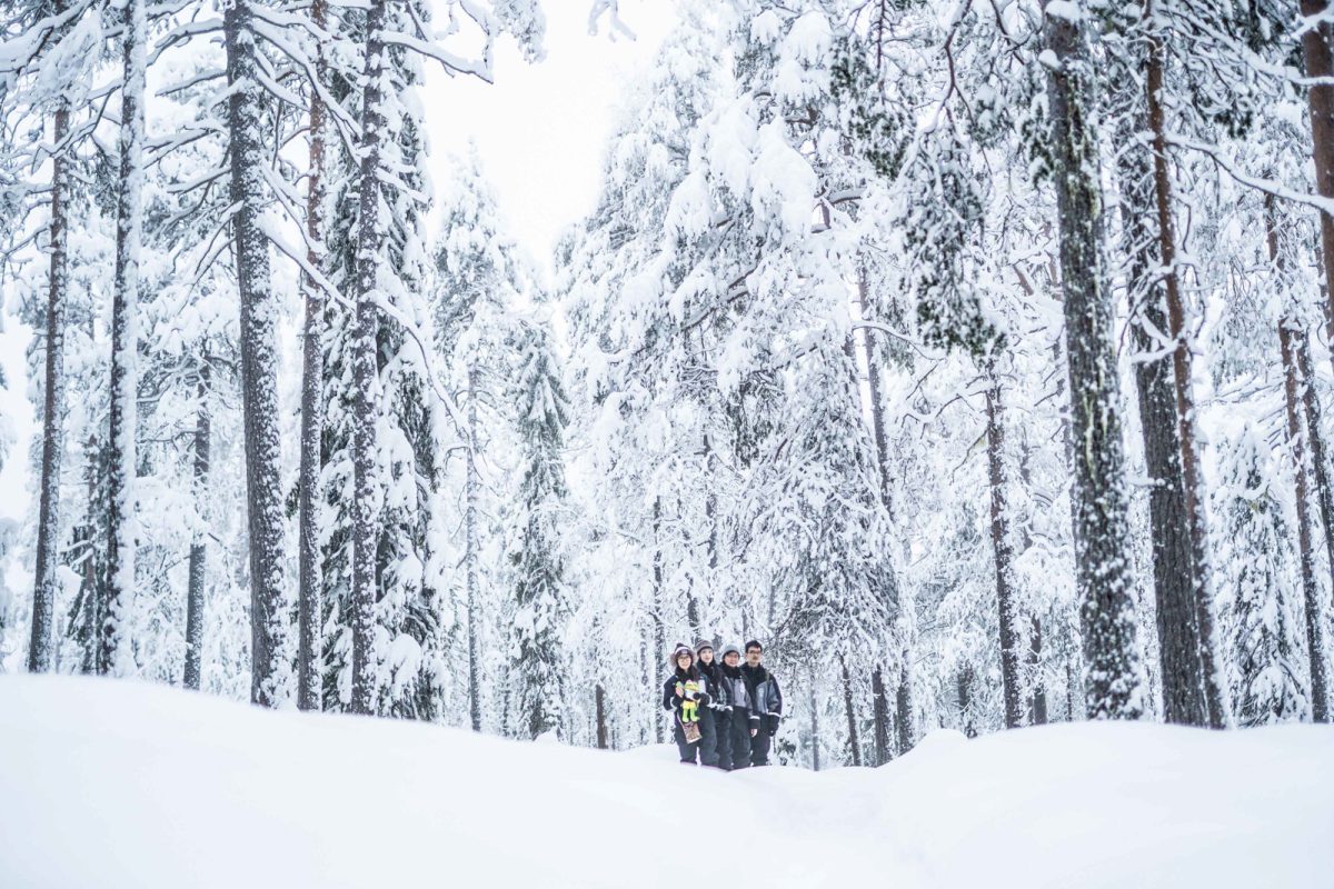 Winter forest expedition in Lapland