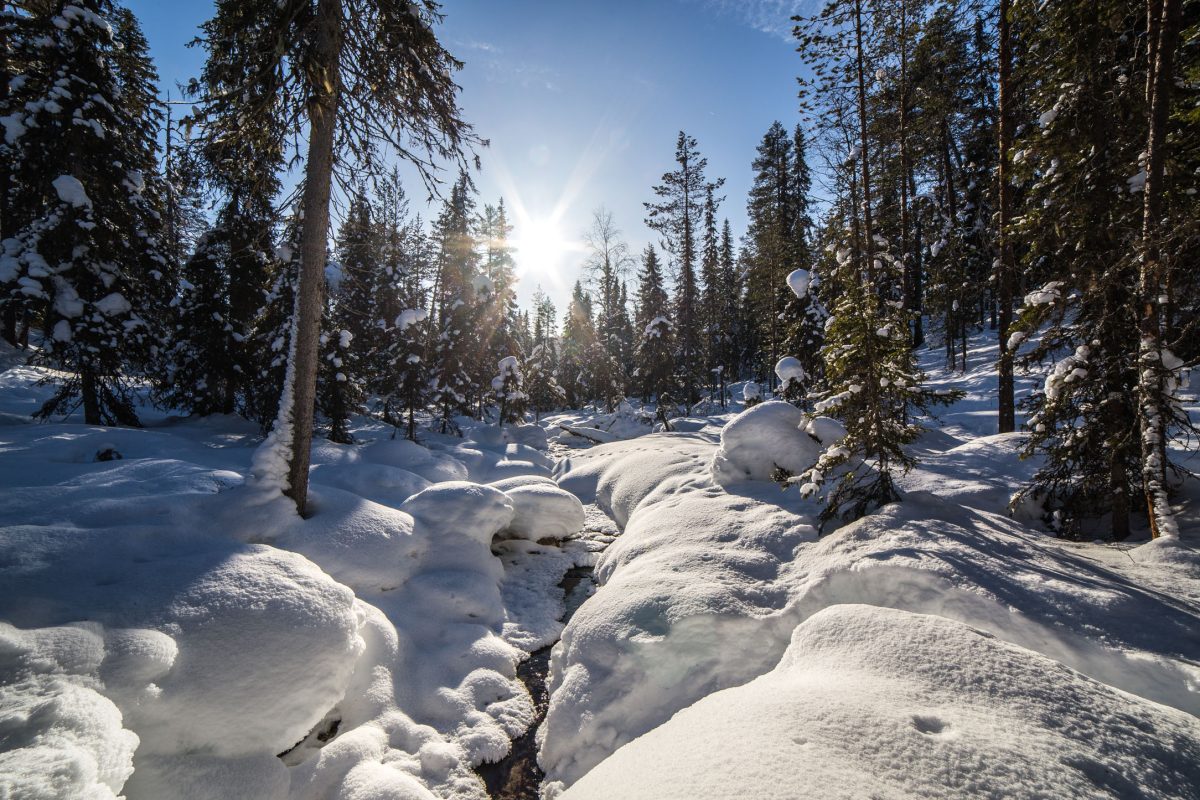 Frozen river in Korouoma Canyon