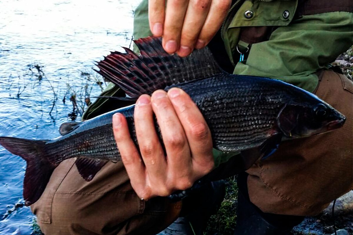 Arctic fishing near Rovaniemi, Lapland
