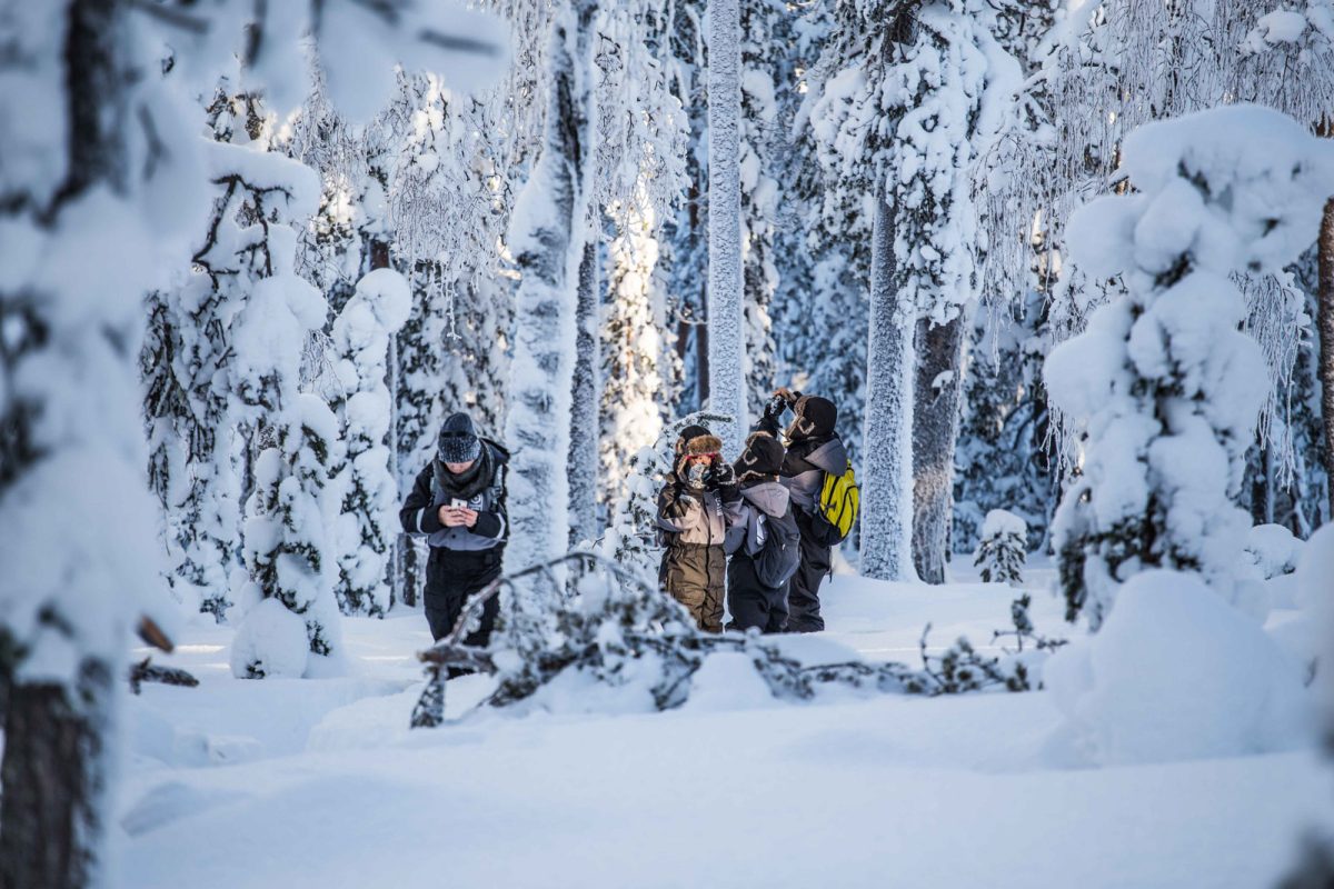 Small group hiking through a snow-covered forest