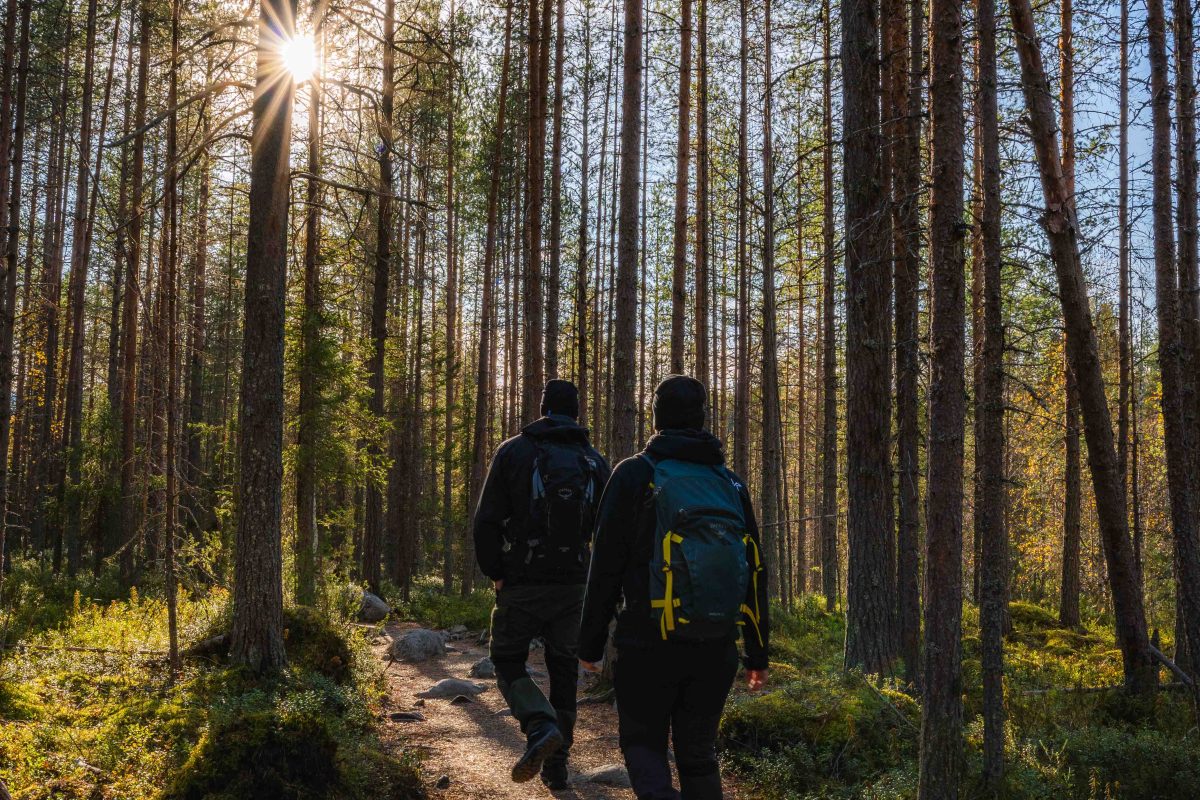 Hiking and photography in Oulanka National Park, Lapland, Finland