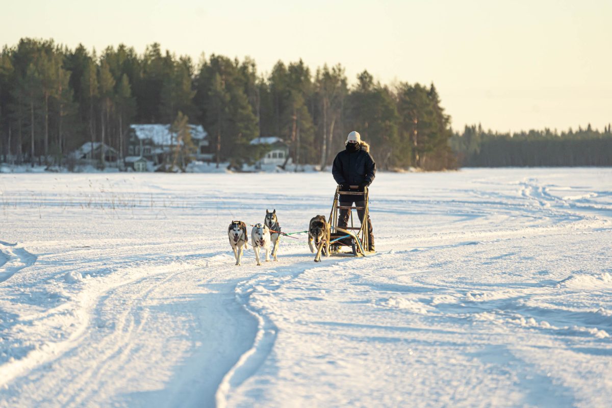 Winter husky ride in Rovaniemi, Lapland, Finland