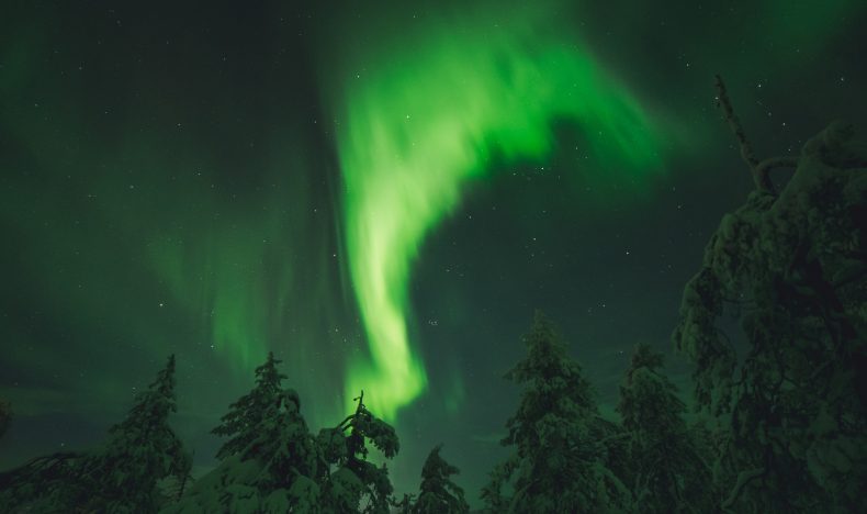 Private Northern Lights Experience with Pro Photographer